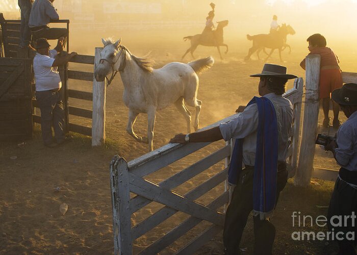 Gaucho Greeting Card featuring the photograph Gaucho's at the Gate by Craig J Satterlee