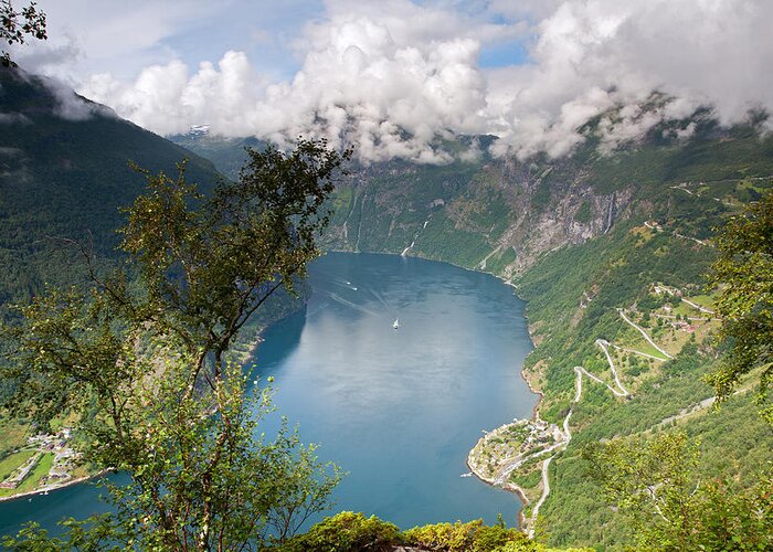 Geirangerfjord Greeting Card featuring the photograph Geirangerfjord with Birch by Aivar Mikko
