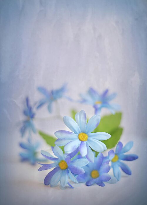 Beauty Greeting Card featuring the photograph Gentle Blues by Elvira Pinkhas