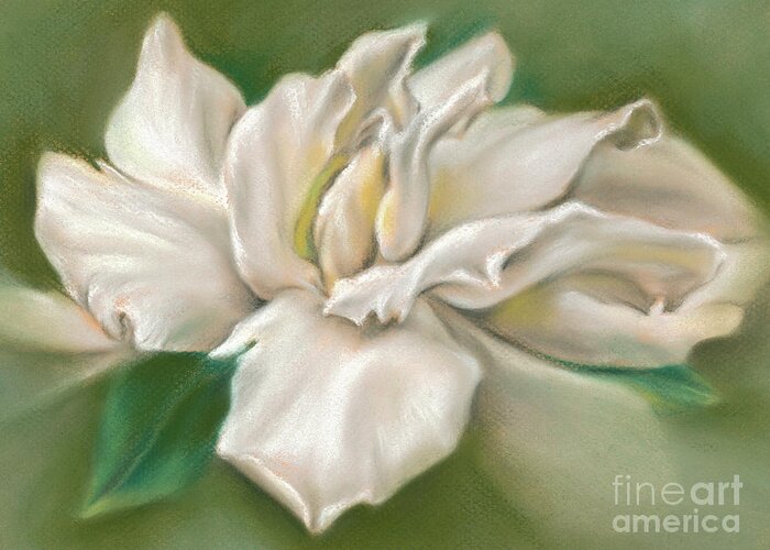 Botanical Greeting Card featuring the painting Gentle Gardenia by MM Anderson