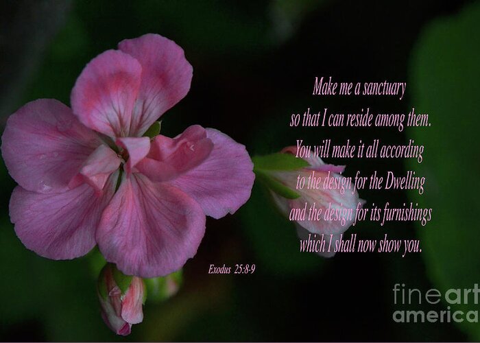 Scripture Greeting Card featuring the photograph Geranium After the Rain Scripture by Debby Pueschel