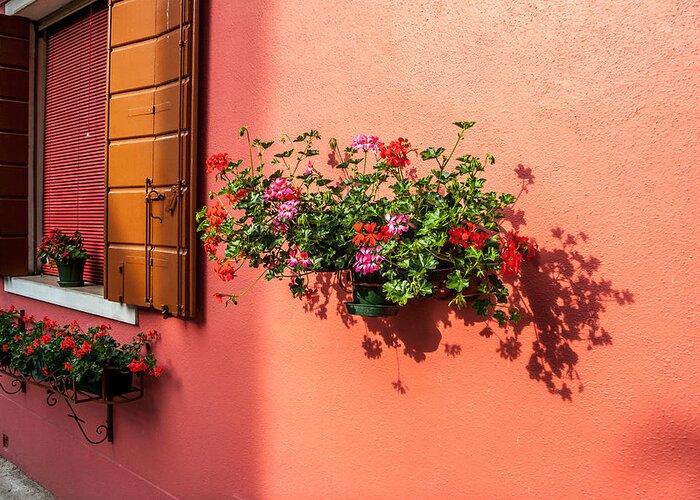 Architecture Greeting Card featuring the photograph Geranium and Window by Peter Tellone