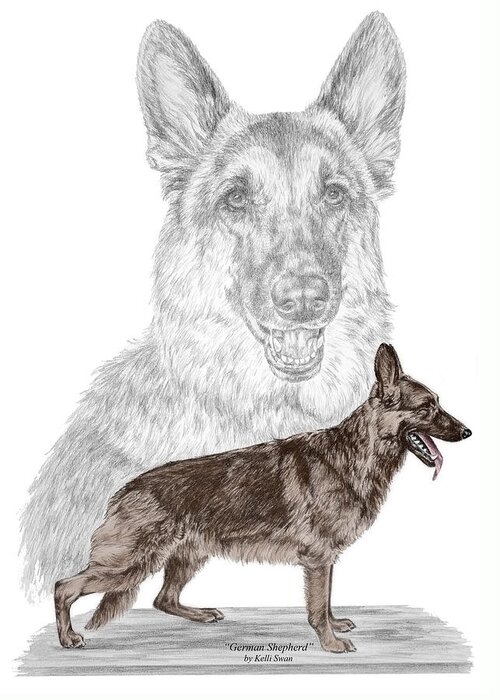 German Greeting Card featuring the drawing German Shepherd Art Print - color tinted by Kelli Swan