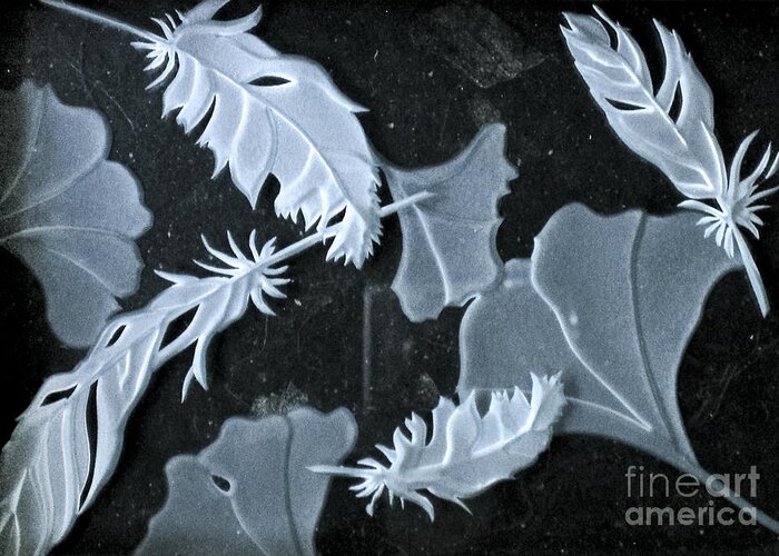 Black Greeting Card featuring the photograph Ginko Leaves and Feathers by Alone Larsen