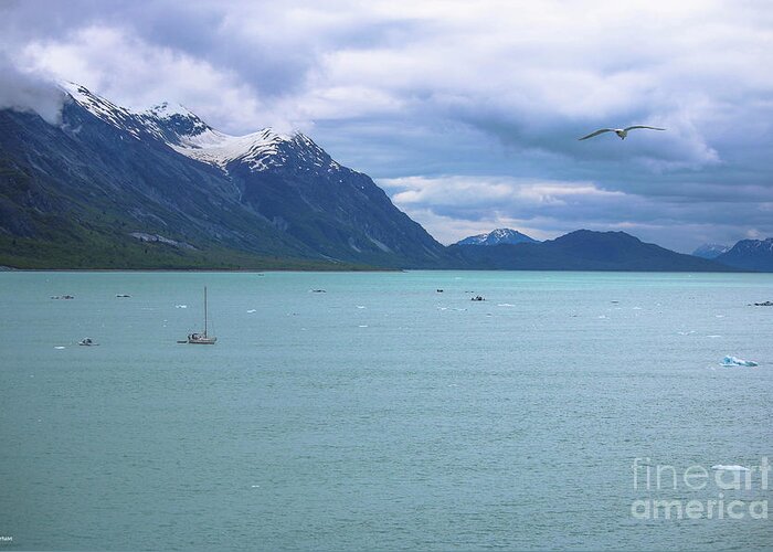 Glacier Bay National Park Greeting Card featuring the photograph Glacier Bay Alaska Two by Veronica Batterson