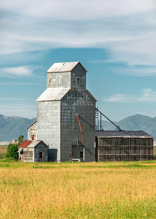 Grain Elevator; Vertical; Old; Rural; Out Of Business; Closed; Agriculture; History; Historic; Landmark; Building Exterior; Tall; Small Town; Glengarry; Montana; Mt; Fergus County; Farmland; Heartland; Clouds; Field; Travel Photography; Spout; Rusty; Antique; Siding; Metal; Station; Railroad; Abandoned; Obsolete; Farming; Judith Mountains; Western; West; Deserted; Crib; Bin; Wood Cribbed; Prairie; Great Plains; Centered; Sunlight; Scenery; Landscape; Silver Greeting Card featuring the photograph Glengarry Grain Elevator by Todd Klassy