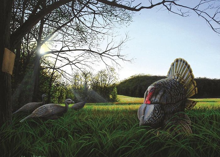 Turkey Greeting Card featuring the painting Gobbler's Morning Dance by Anthony J Padgett