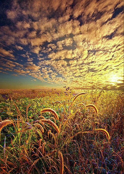 Clouds Greeting Card featuring the photograph Going To Sleep by Phil Koch