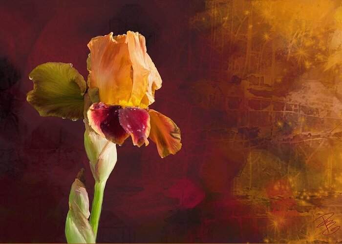 Beautiful Greeting Card featuring the digital art Gold and Red Iris by Debra Baldwin