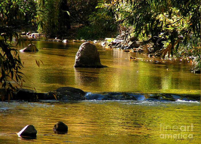 Autumn Fall Gold Creek Water Reflections Boulder Colorado Nature River Greeting Card featuring the photograph Golden creek by George Tuffy