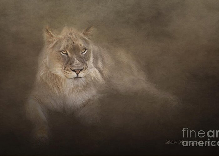 Lioness Greeting Card featuring the photograph Golden Eyes by Linda Blair