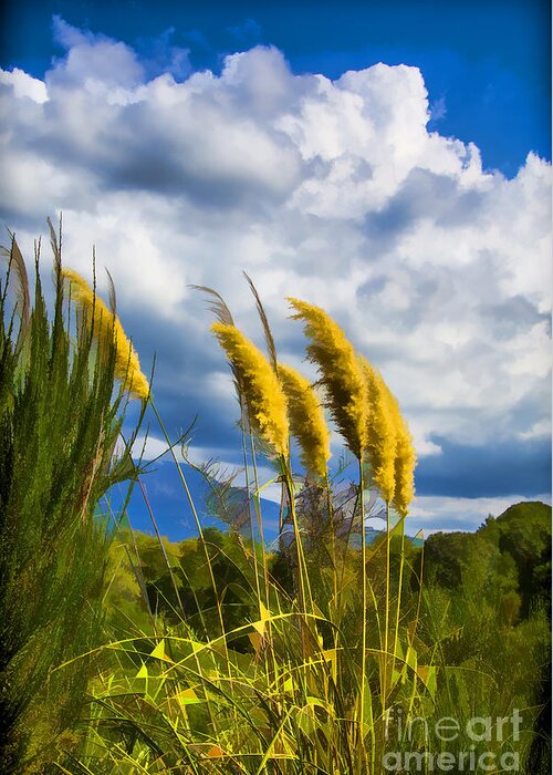 New Zealand's Plants Greeting Card featuring the photograph Golden Fluff by Rick Bragan