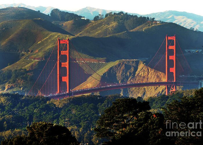 Golden Gate Bridge Greeting Card featuring the photograph Golden Gate Bridge by Steven Spak