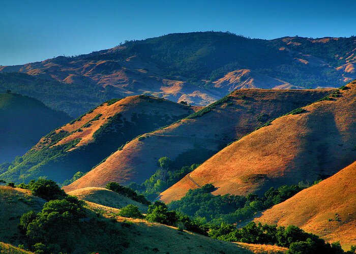 Hills Prints Greeting Card featuring the photograph Golden Hills by Steven Ainsworth