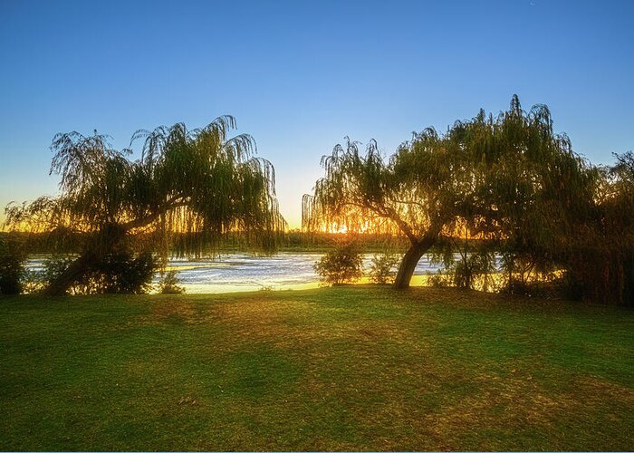 Mad About Wa Greeting Card featuring the photograph Golden Lake, Yanchep National Park by Dave Catley