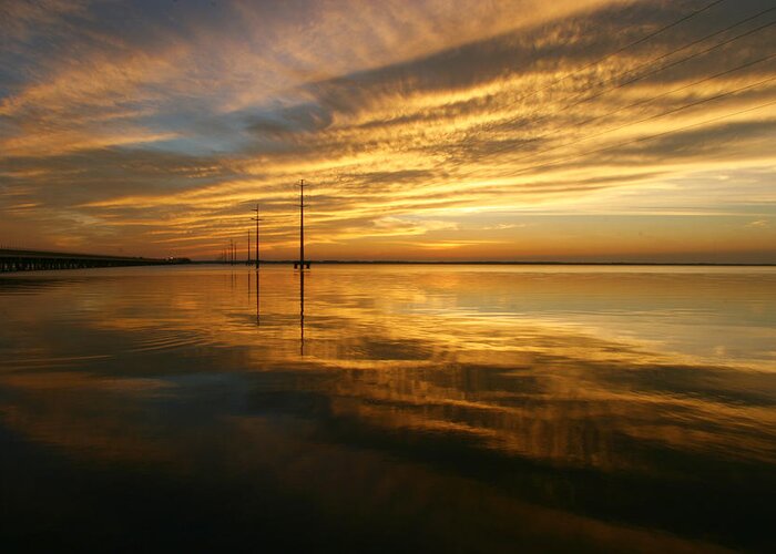 Sky Sunset Sun Night Fall Water Sea Ocean Inlet Gold Golden Greeting Card featuring the photograph Golden Light by Robert Och