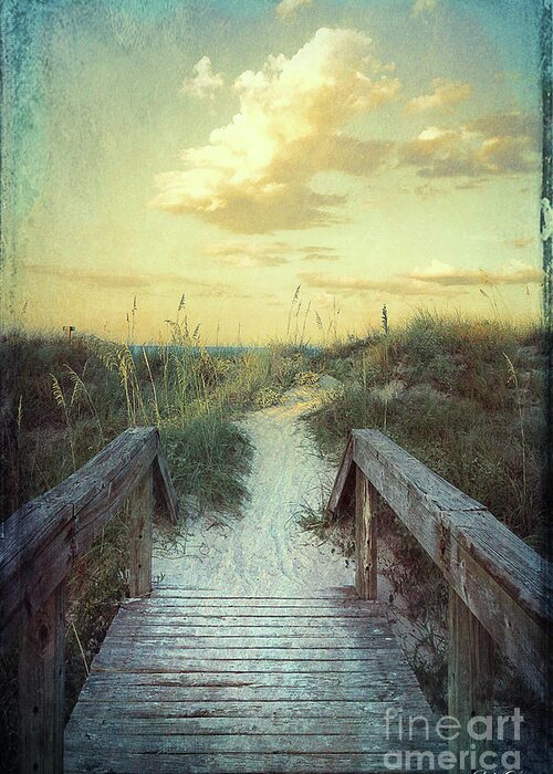 Beach Greeting Card featuring the photograph Golden Pathway by Linda Olsen