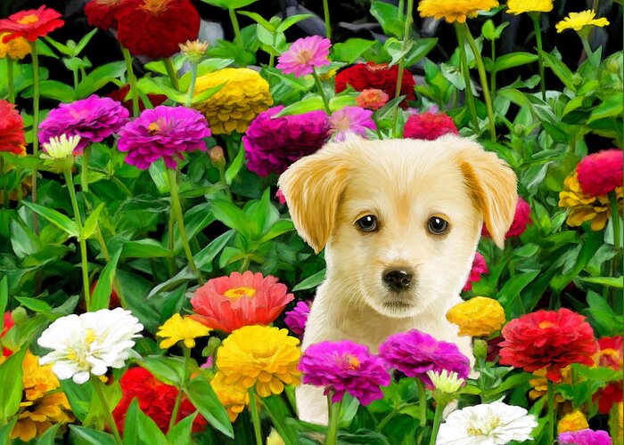 Puppy Greeting Card featuring the digital art Golden Puppy in the Zinnias by Bob Nolin