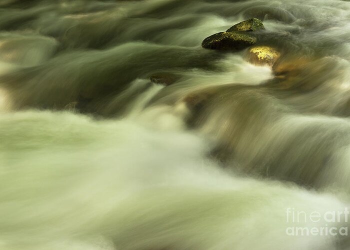 River Greeting Card featuring the photograph Golden River by Mike Eingle