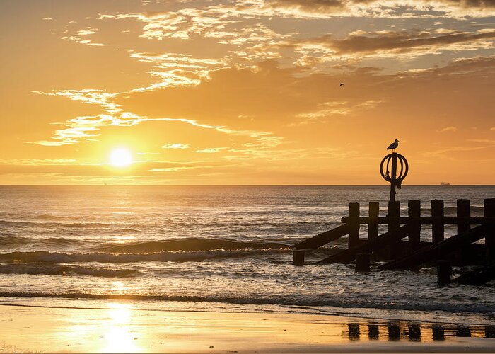 Aberdeen Beach Greeting Card featuring the photograph Golden Sunrise at Aberdeen Beach by Veli Bariskan