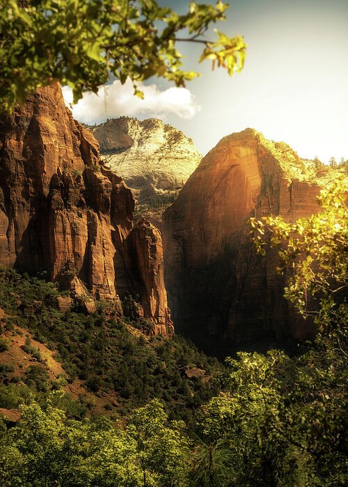 Zion Canyon Greeting Card featuring the photograph Golden Sunrise in Zion Canyon National Park by Good Focused