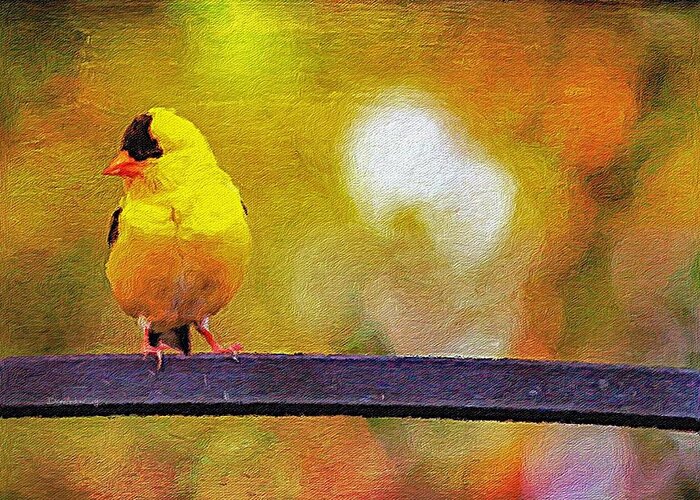 Gold Greeting Card featuring the photograph Goldfinch Sitting Pretty by Diane Lindon Coy