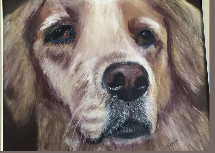 Golden Retriever Greeting Card featuring the painting Goldie by Joyce Spencer