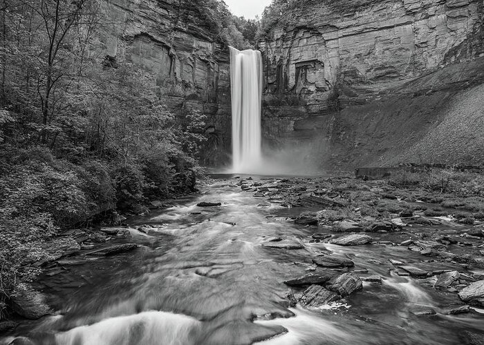Taughannock Falls State Park Greeting Card featuring the photograph Gorge Flow by Kristopher Schoenleber