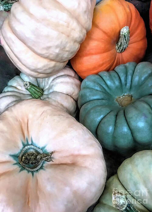 Gourds Greeting Card featuring the photograph Gourds by Janice Drew