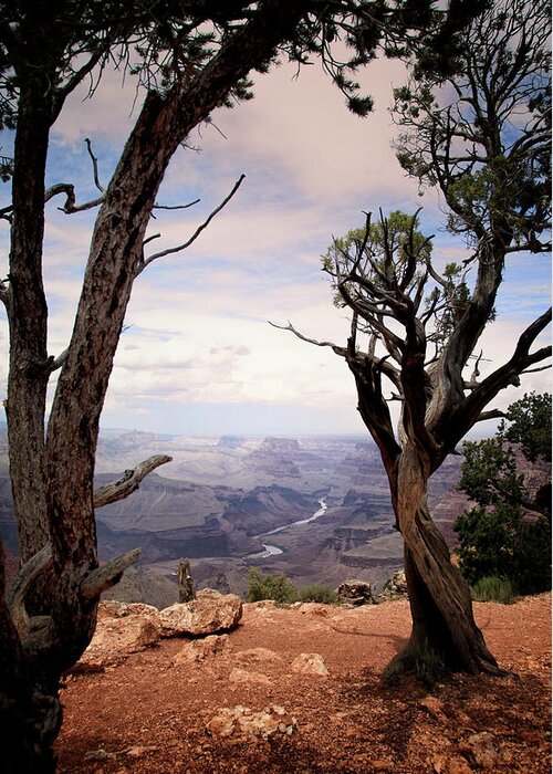Grand Canyon Greeting Card featuring the photograph Grand Canyon, AZ by James Bethanis