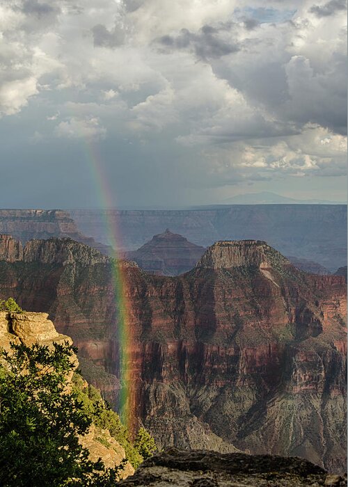 Rainbow Greeting Card featuring the photograph Grand Canyon rainbow by Gaelyn Olmsted
