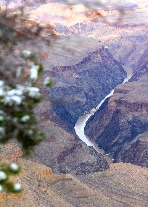 Grand Canyon Greeting Card featuring the photograph Grand Canyon XIV by Aaris K