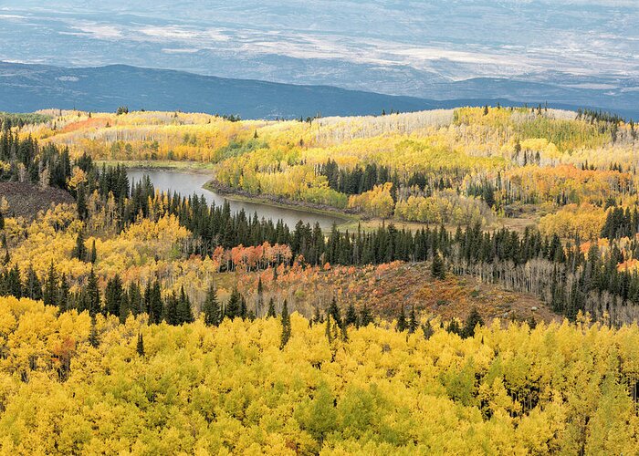Aspen Greeting Card featuring the photograph Grand Mesa View by Denise Bush