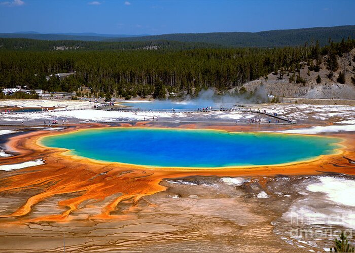Grand Prismatic Greeting Card featuring the photograph Grand Prismatic Overlook by Adam Jewell