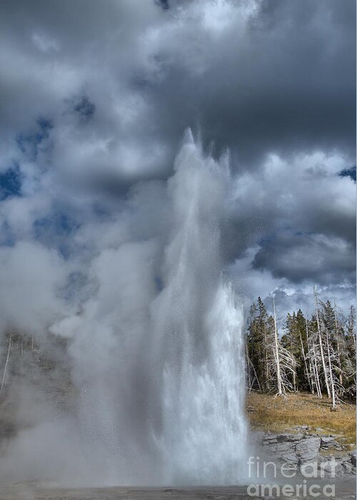Grand Geyser Greeting Card featuring the photograph Grand Reaching For The Skies by Adam Jewell