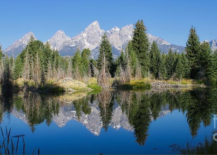Lake Greeting Card featuring the photograph Grand Tetons by Phil Cappiali Jr