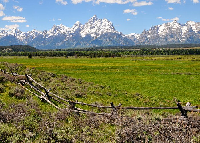 Grand Teton National Park Greeting Card featuring the photograph Grand Tetons with Buck and Pole Fence by Alan Lenk