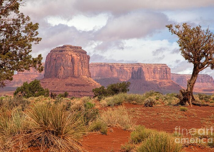 Monument Valley Print Greeting Card featuring the photograph Grandview by Jim Garrison
