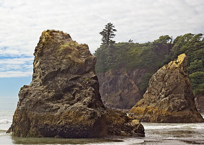 Ocean Greeting Card featuring the photograph Granite Stacks by Peter J Sucy