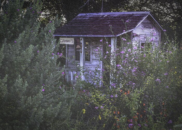House Greeting Card featuring the photograph Granny's Garden House by Leticia Latocki