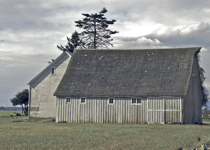 Barns Greeting Card featuring the photograph Gray barn of Skagit County by Craig Perry-Ollila