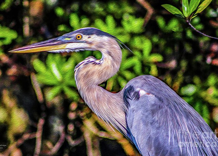 Nature Greeting Card featuring the painting Great Blue Heron by DB Hayes