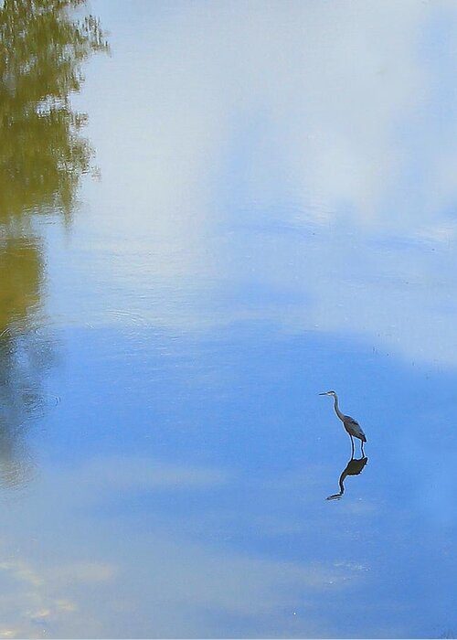 Birds Greeting Card featuring the photograph Great Blue Heron by Jim Sauchyn