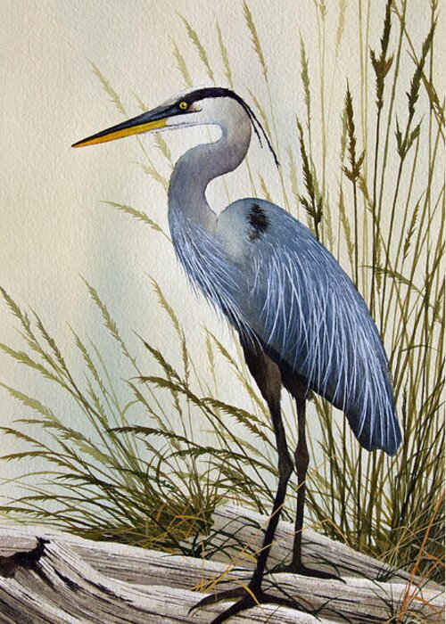 Great Blue Heron. Great Blue Heron Painting Greeting Card featuring the painting Great Blue Heron Shore by James Williamson