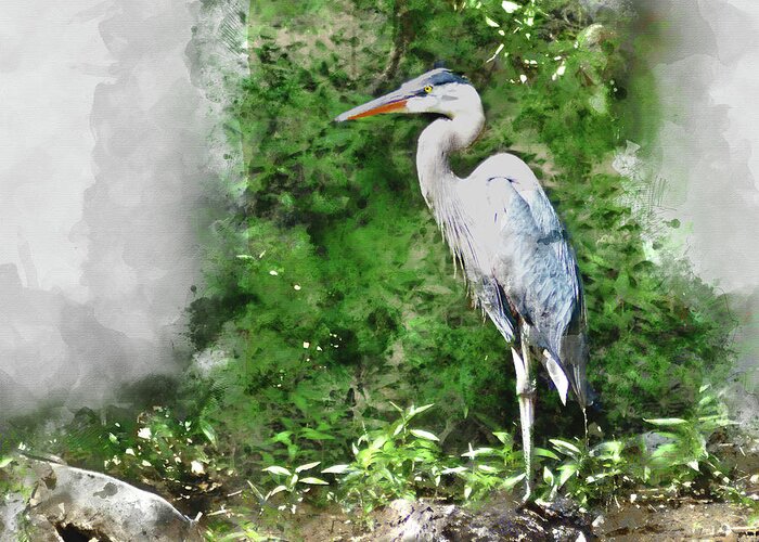 Heron Greeting Card featuring the digital art Great Blue Heron Watercolor by Kathy Kelly