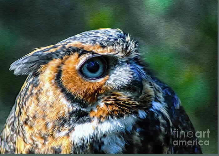 Nature Greeting Card featuring the photograph Great Horned Owl - Bubo Virginianus by DB Hayes