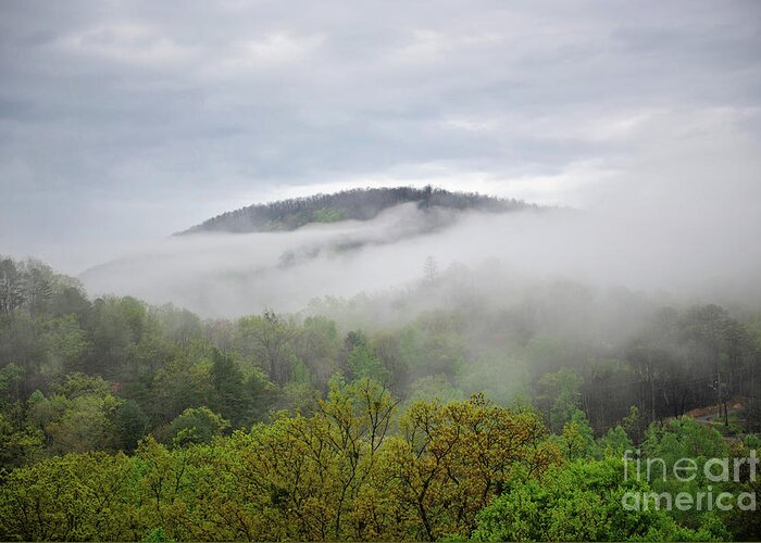 Nature Greeting Card featuring the photograph Great Smoky Mountains by Anna Serebryanik