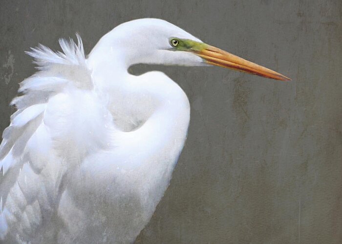 Bird Greeting Card featuring the photograph Great White Egret by Karen Lynch
