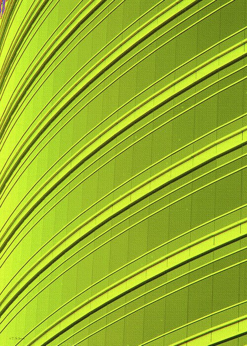 Green And Yellow Building Abstract Greeting Card featuring the photograph Green And Yellow Building Abstract by Tom Janca