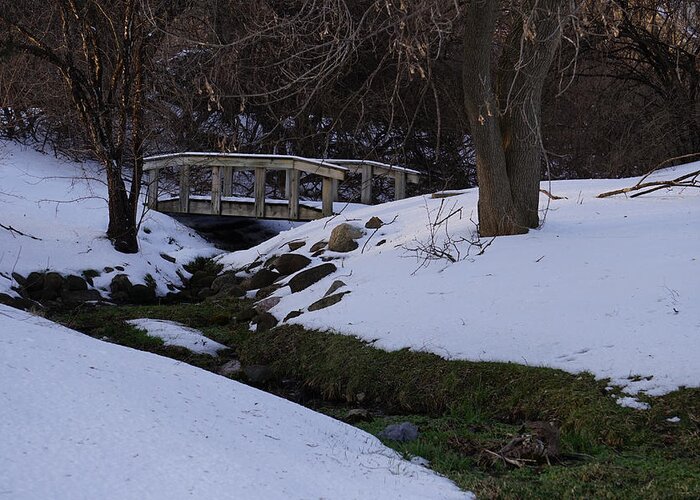 Snow Greeting Card featuring the photograph Green Creek by Brooke Bowdren
